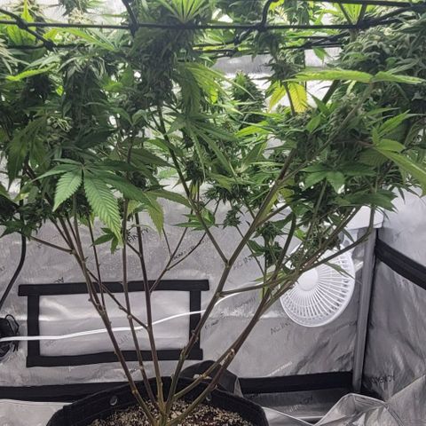 April growlog timeline photo