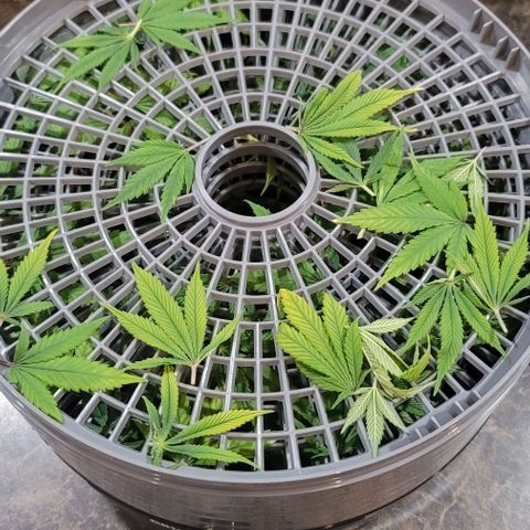 April growlog timeline photo