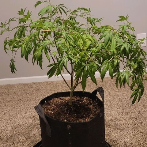 April growlog timeline photo