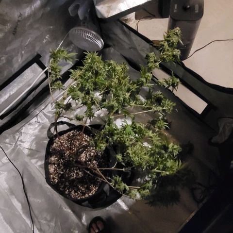 April growlog timeline photo