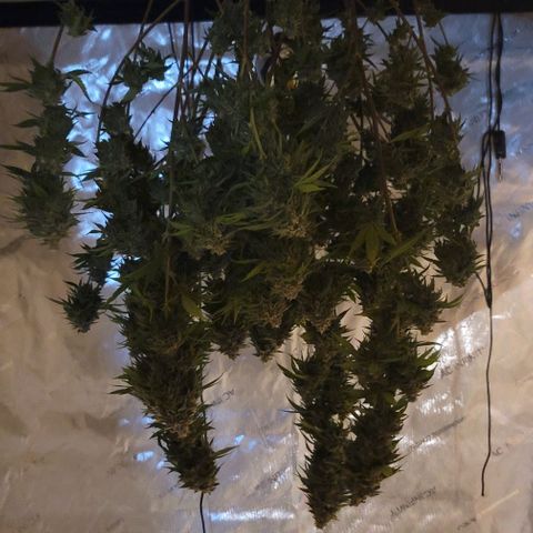 April growlog timeline photo