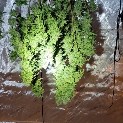 April growlog timeline photo