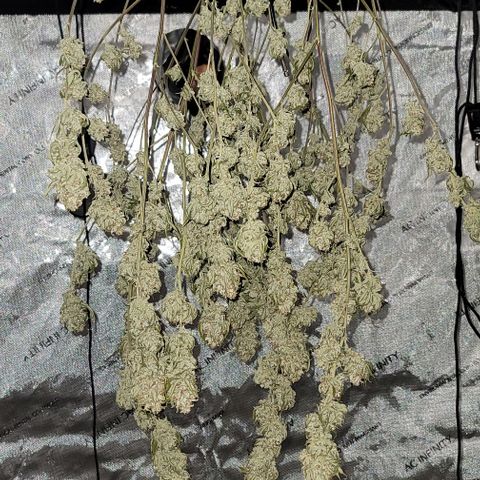 April growlog timeline photo