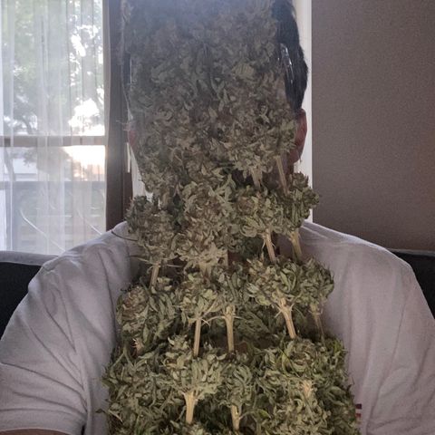 Bangi Haze growlog timeline photo