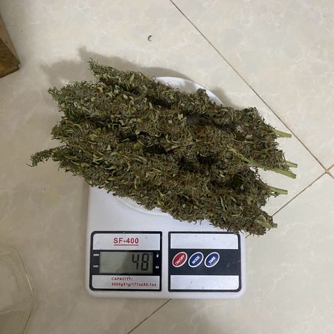 DankBerry  growlog timeline photo