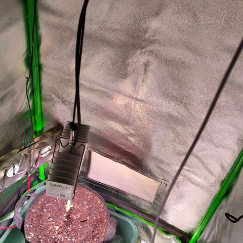 Auto Ultimate growlog timeline photo
