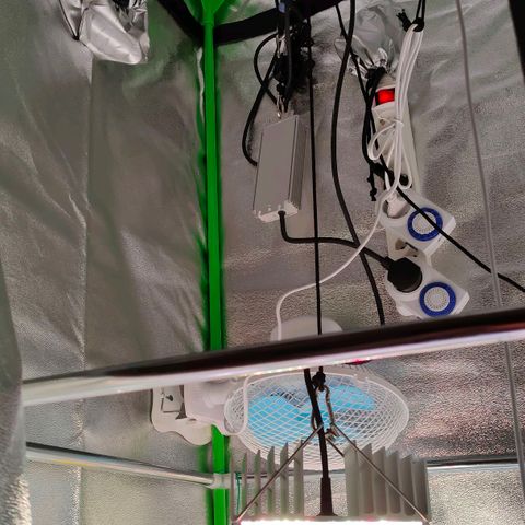 Auto Ultimate growlog timeline photo