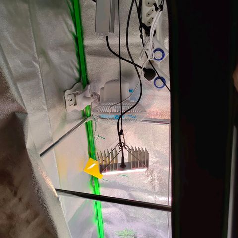 Auto Ultimate growlog timeline photo