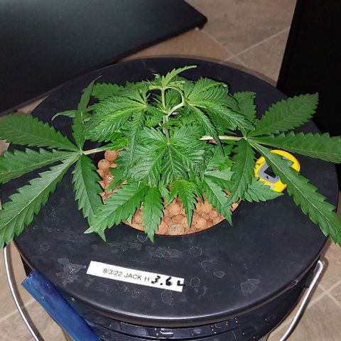 Ms Jackson growlog photo: Changed neuts