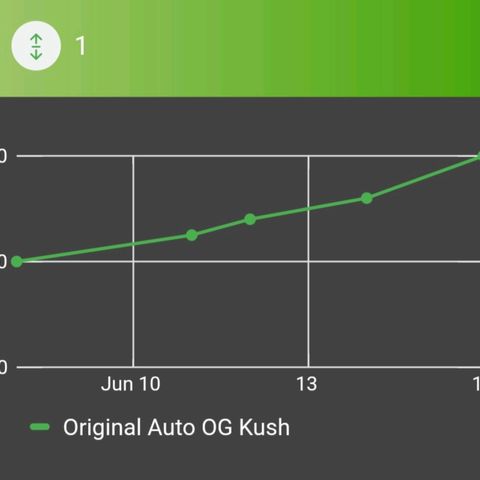 Original Auto OG Kush growlog photo: Grow chart 