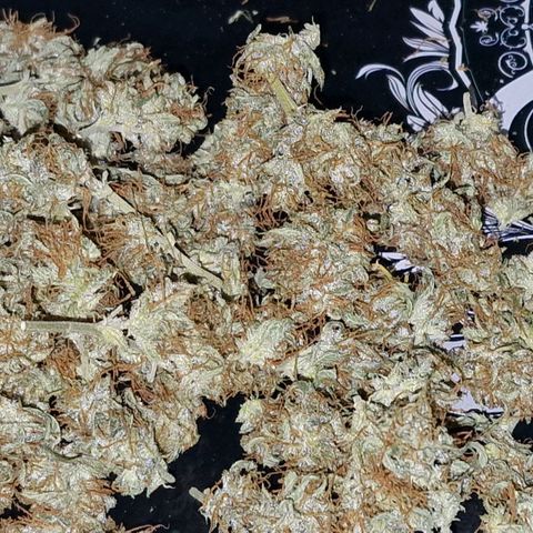 Apple Strudel  Auto growlog timeline photo