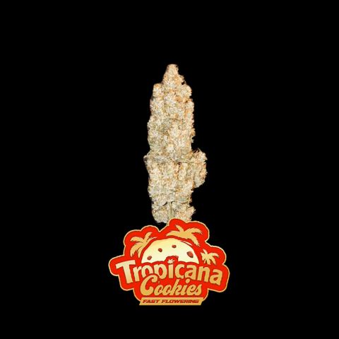 Fastbuds FF - Tropicana Cookies growlog timeline photo