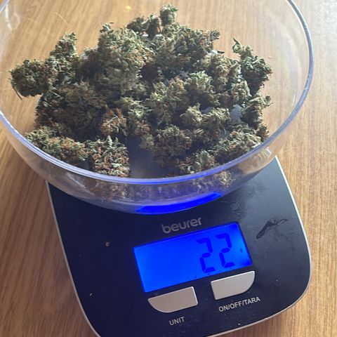 Hindu Kush growlog timeline photo