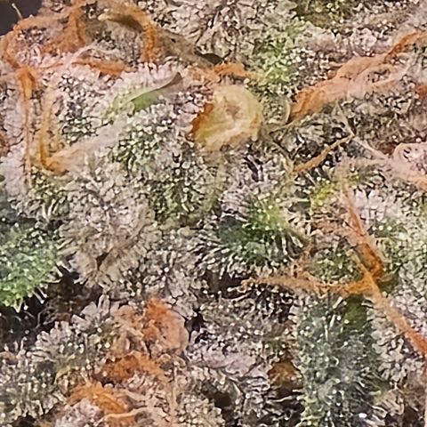Green Crack growlog timeline photo