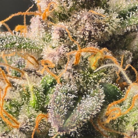 Wedding cake  growlog timeline photo