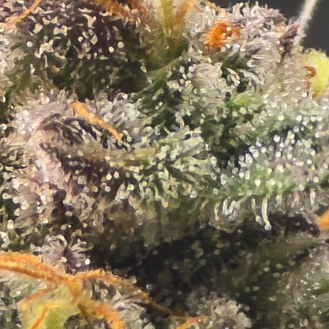 Wedding cake  growlog timeline photo