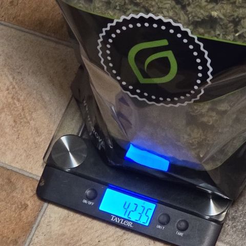 White Widow growlog photo: Has 2 sensors ruffle 390