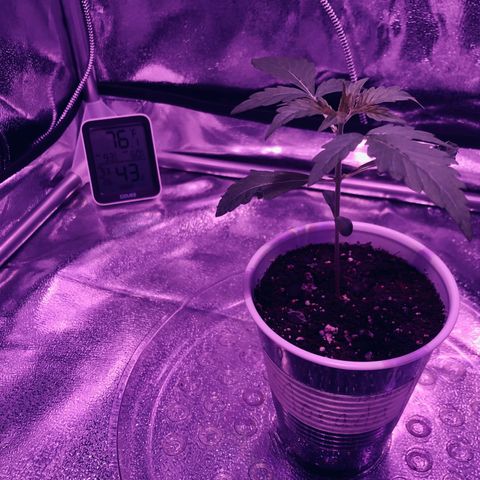 Morada growlog photo: 10:43 PM