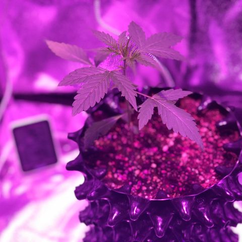 Morada growlog photo: 10:06 AM