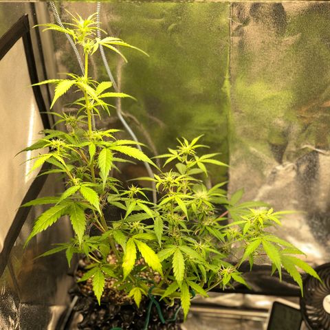 Morada growlog photo: 12:27 PM