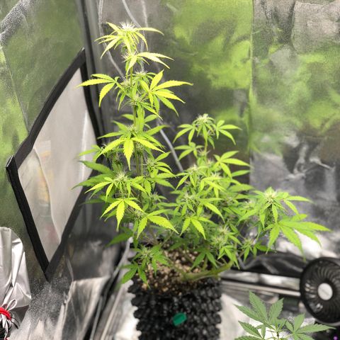 Morada growlog photo: 10:08 PM