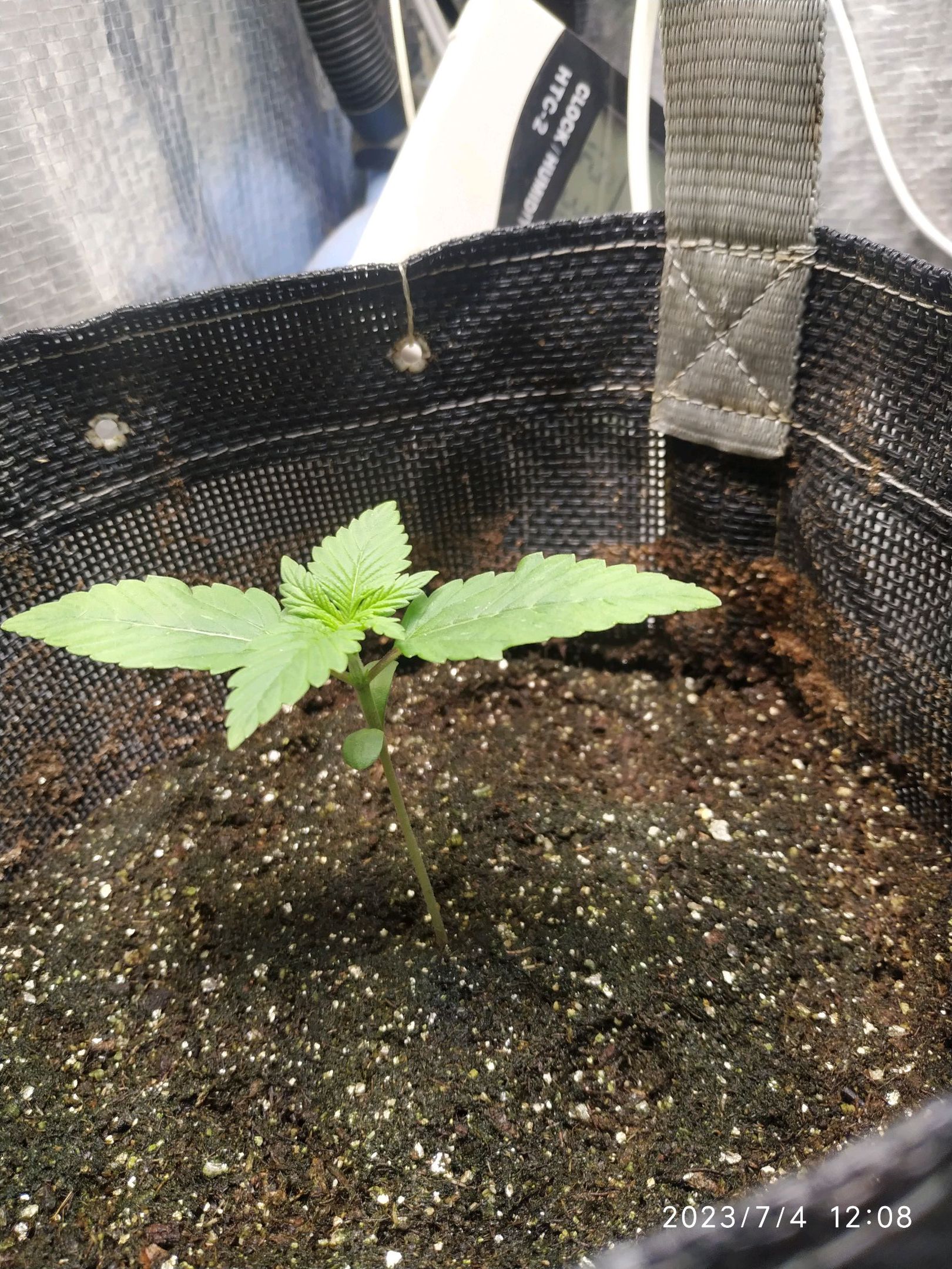 Jaqueline growlog photo 3