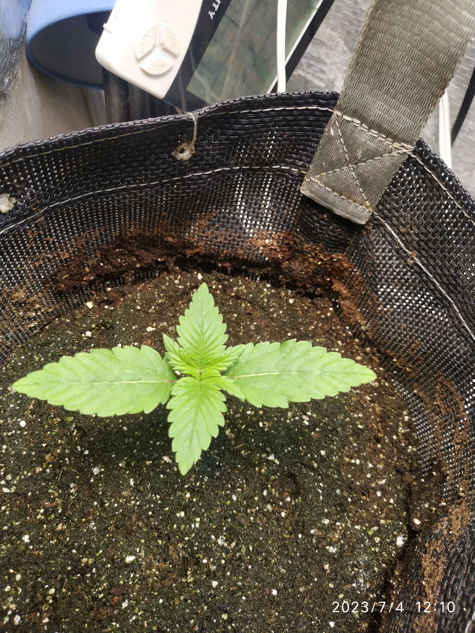 Jaqueline growlog photo 4
