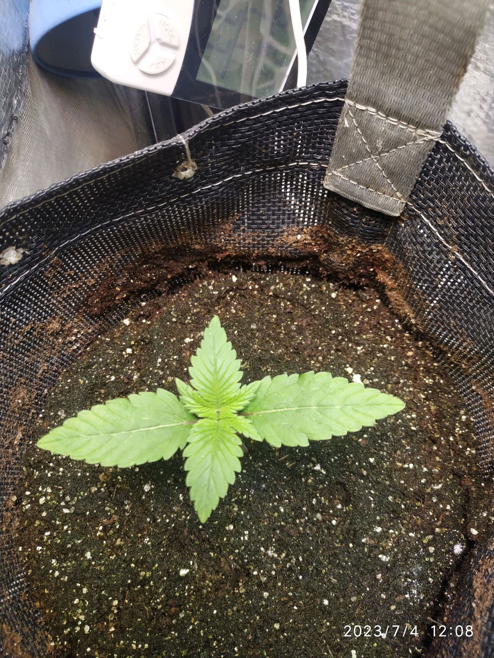 Jaqueline growlog photo 5