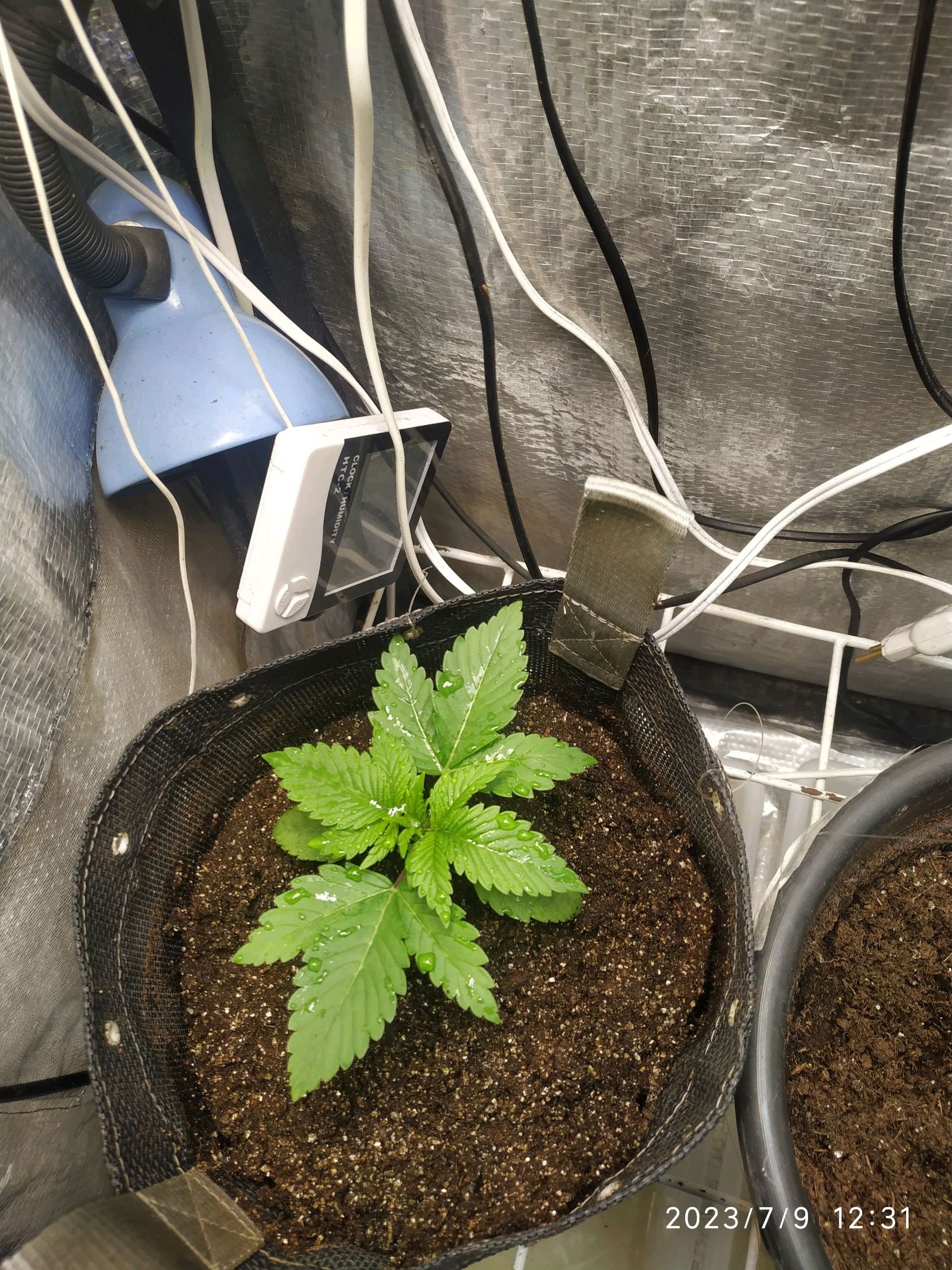 Jaqueline growlog photo 7