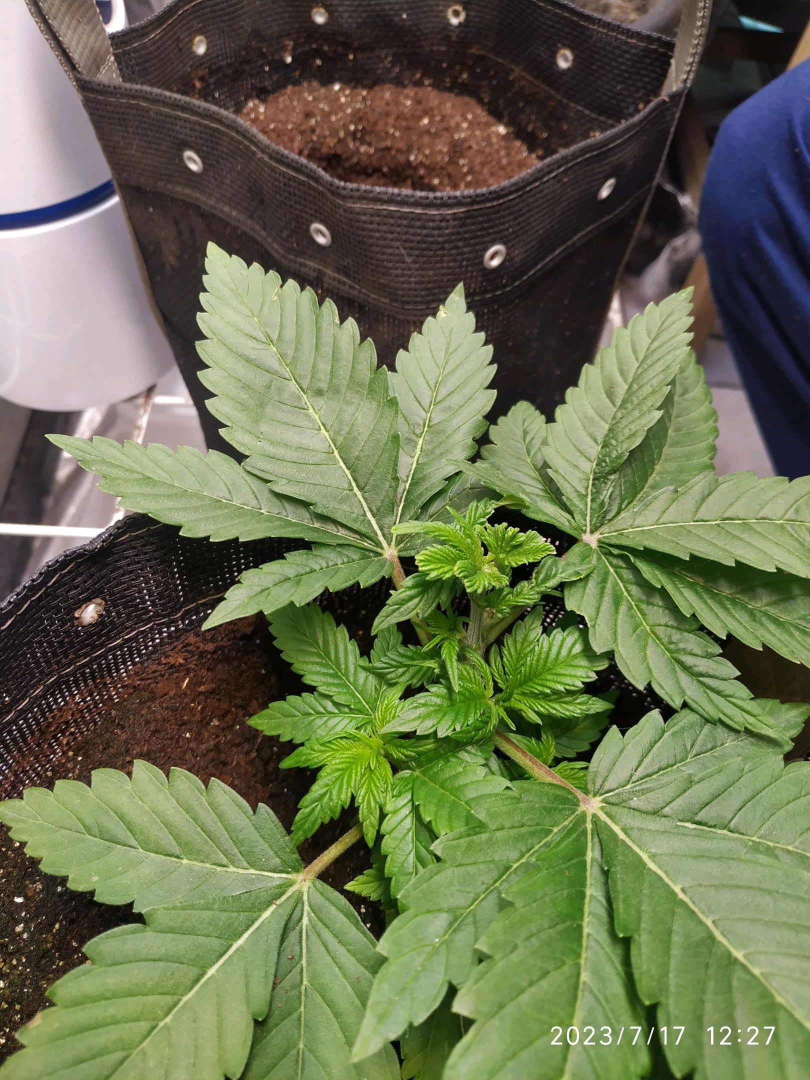 Jaqueline growlog photo 34