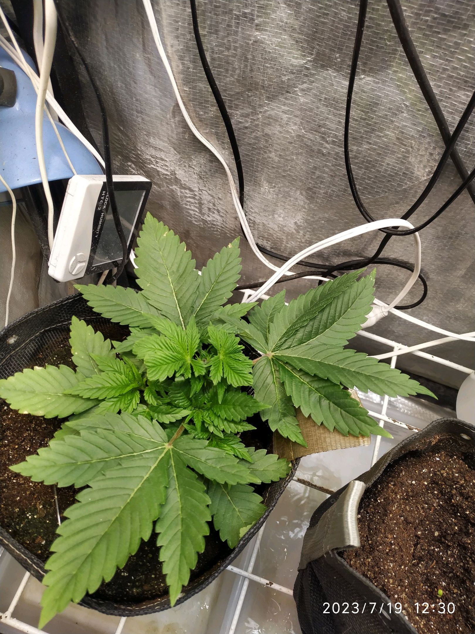 Jaqueline growlog photo 37