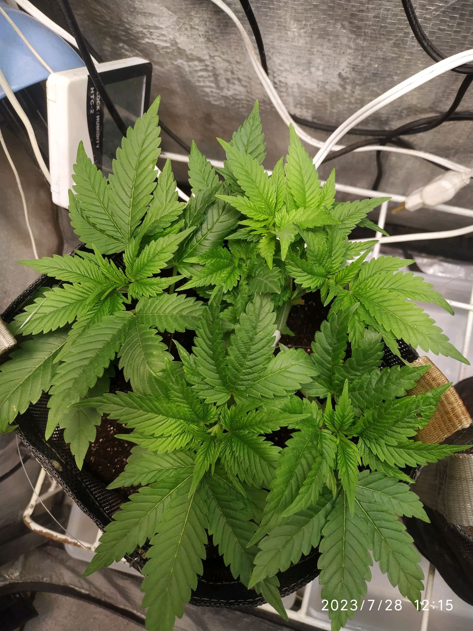 Jaqueline growlog photo 94