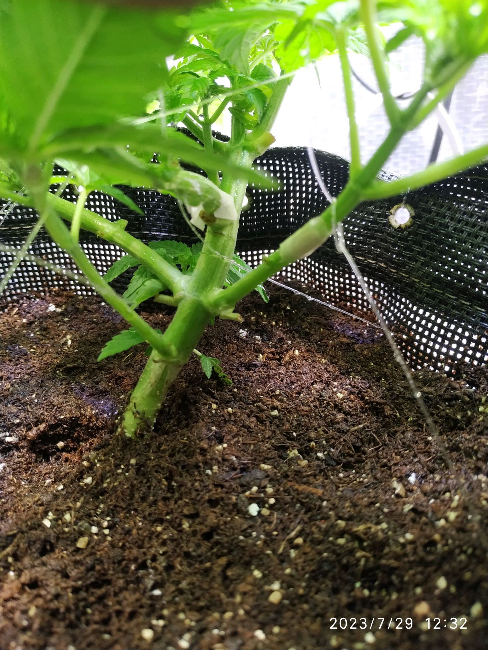 Jaqueline growlog photo 97