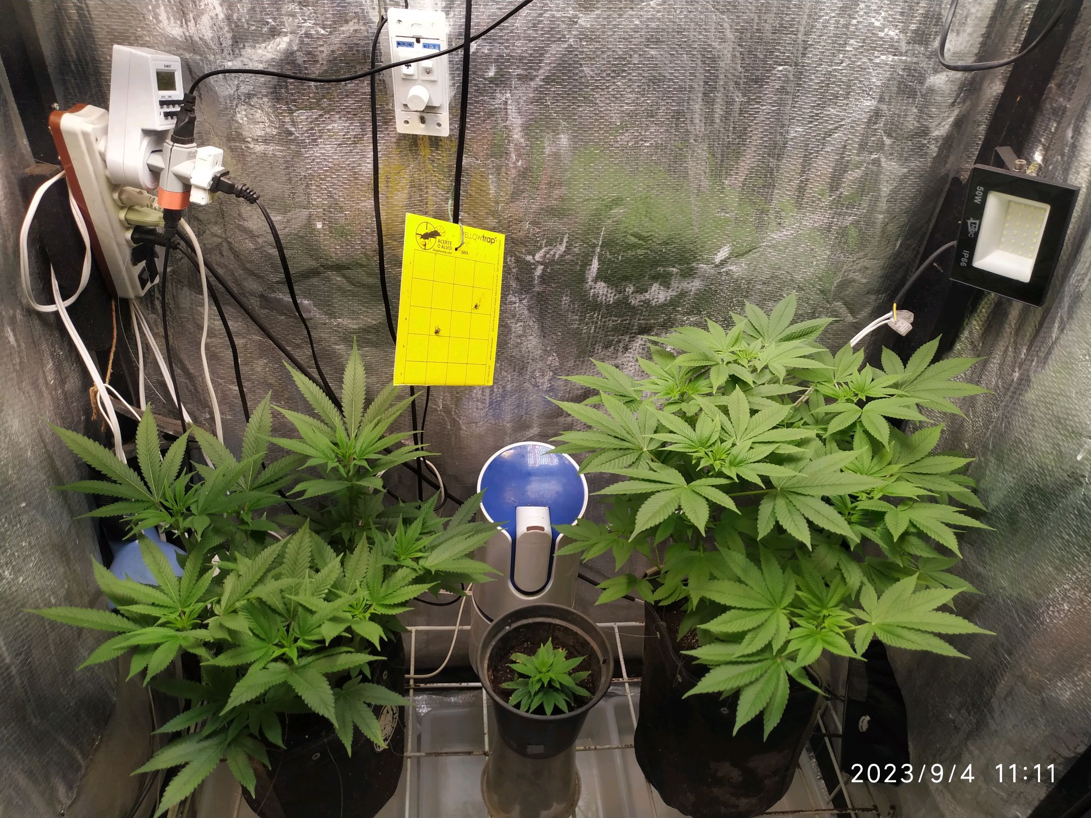 Jaqueline growlog photo 176