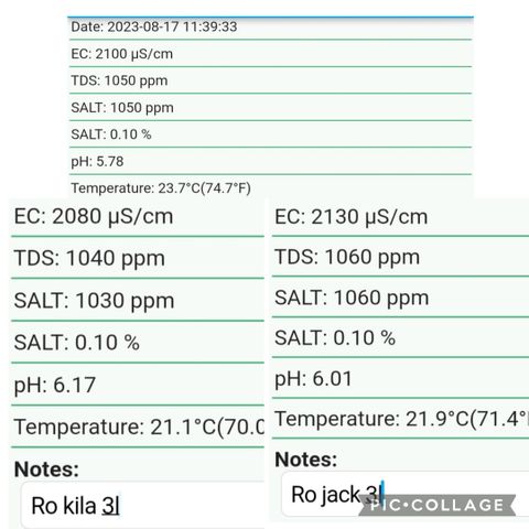 Jaqueline  growlog timeline photo