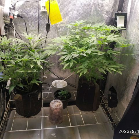 Jaqueline  growlog timeline photo