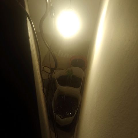 3:° growlog timeline photo