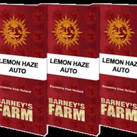 BF Lemon Haze Auto  growlog timeline photo