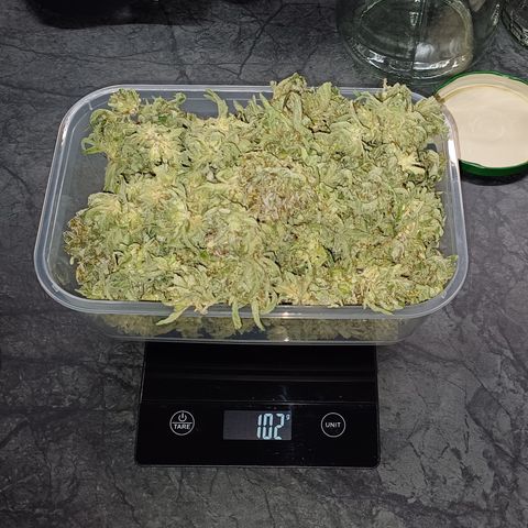 RQS Wedding Cake Auto  growlog timeline photo