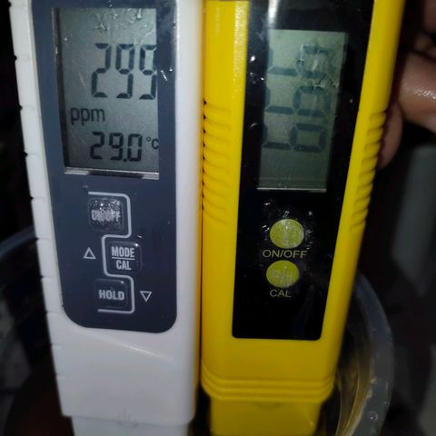Brookly Sunrise growlog timeline photo
