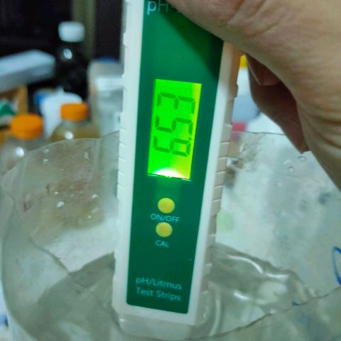 Brookly Sunrise growlog timeline photo