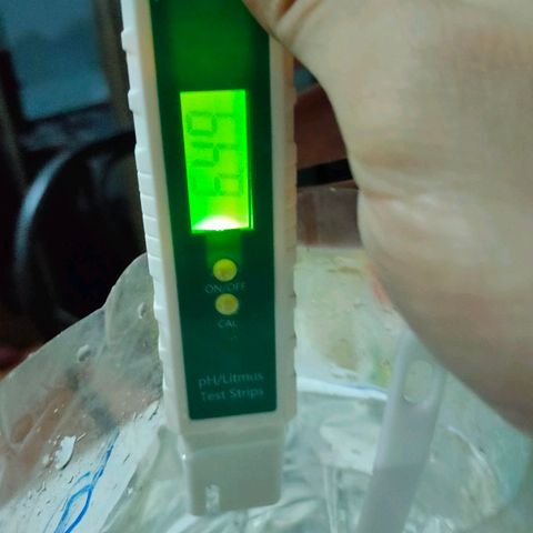 Brookly Sunrise growlog timeline photo