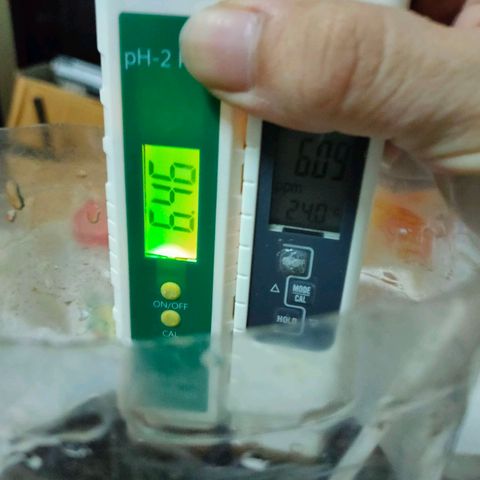 Brookly Sunrise growlog timeline photo