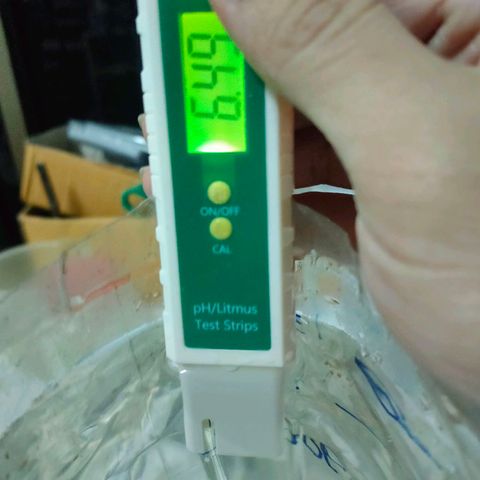 Brookly Sunrise growlog timeline photo