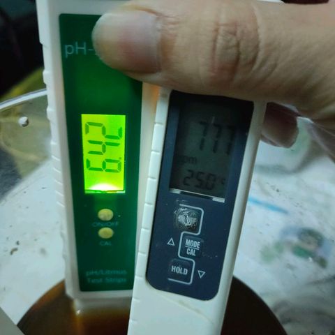 Brookly Sunrise growlog timeline photo