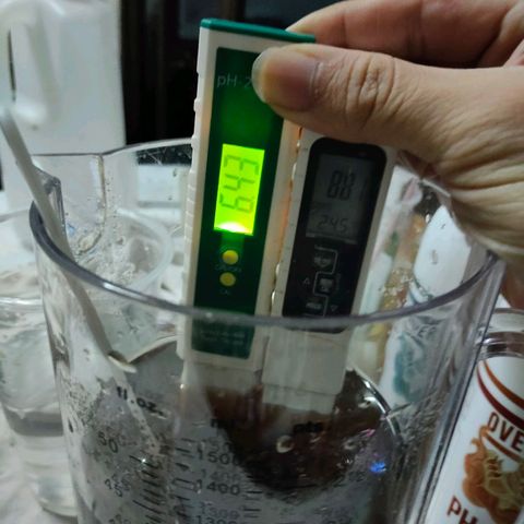 Brookly Sunrise growlog timeline photo