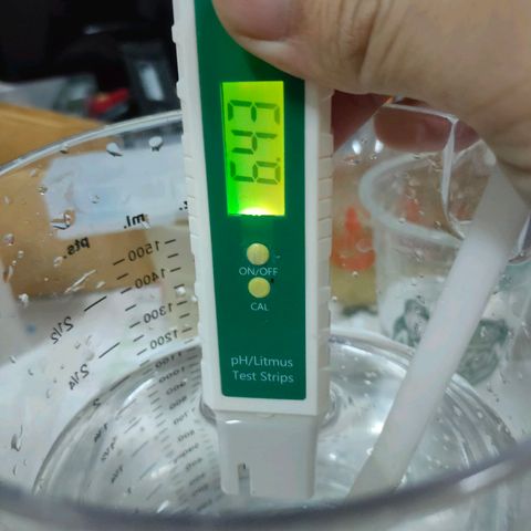 Brookly Sunrise growlog timeline photo
