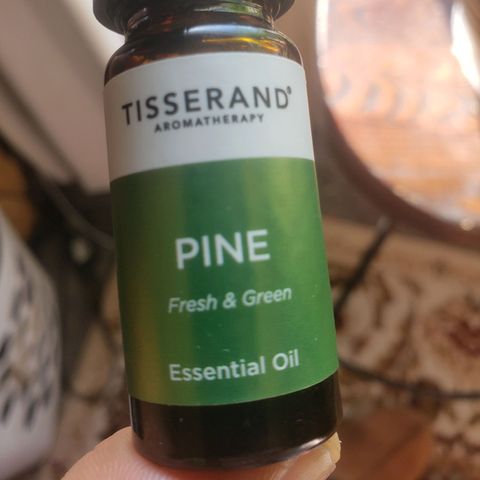 OG COOKIES - 01121 growlog photo: Will see if "Pinene" essential oil actually improves Kush flavor. 