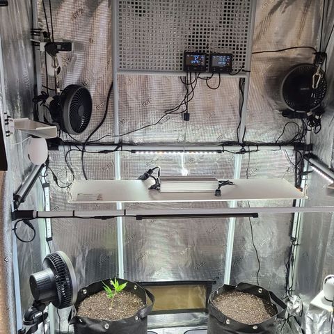 Electrify growlog photo: Day 1