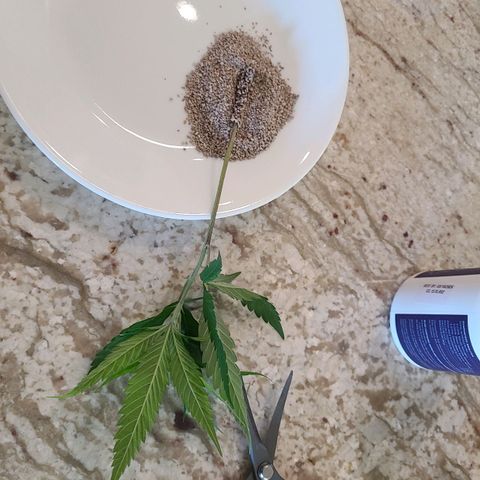Electrify growlog photo: Day 1